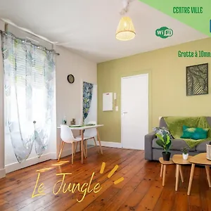 Appartement Le Jungle--hyper Centre--tout Confort--wifi France